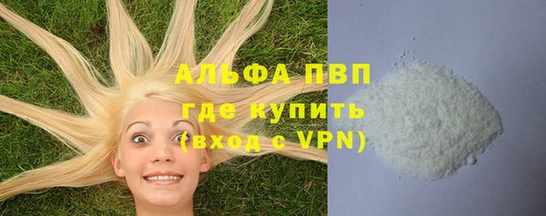 гашик Алексеевка
